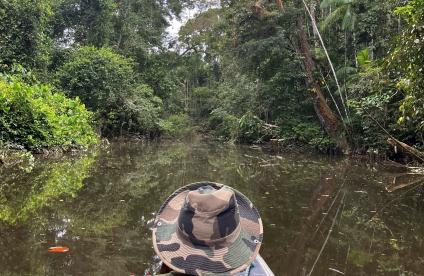 Campagne d'orientation pour prélèvement de sédiments de ruisseau, Guyane, 2025
