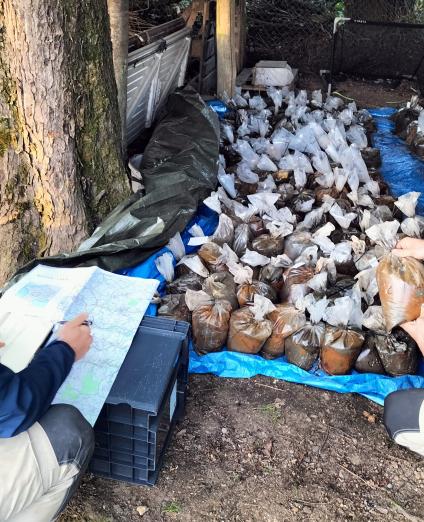 Inventaire des sacs d'échantillons de sédiments de ruisseau
